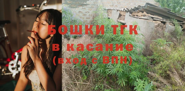 шишки Алзамай
