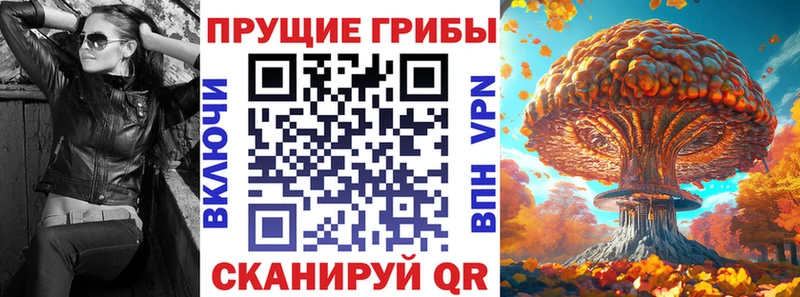 Галлюциногенные грибы мицелий  Заполярный 