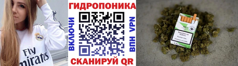 Бошки марихуана планчик  где продают   Заполярный 